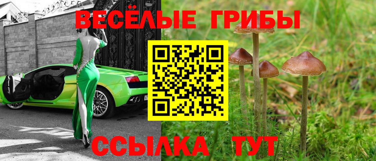 Учалы  Галлюциногенные грибы прущие грибы  Вход с VPN 