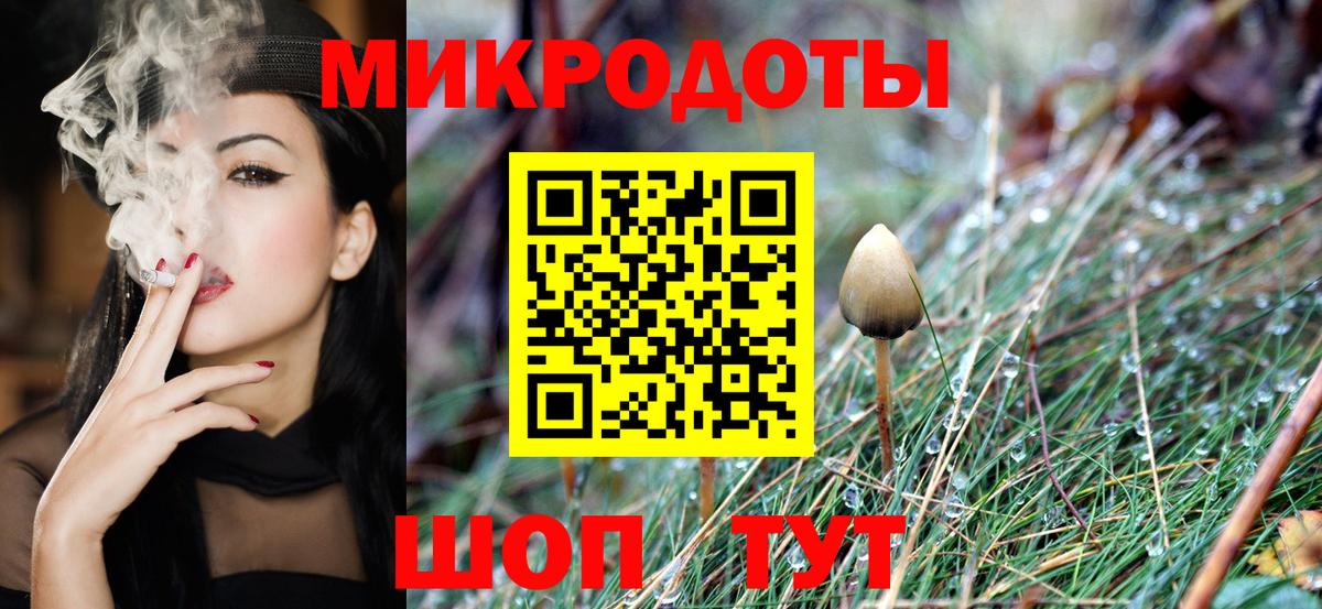 Псилоцибиновые грибы Psilocybine cubensis Учалы